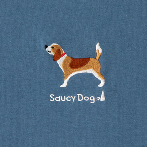Saucy Dogの声がいい 人気の魅力に迫る ニューカマーミュージック